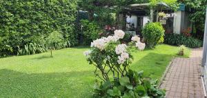 Zahrada ubytování Guest house Il Giardino in Città
