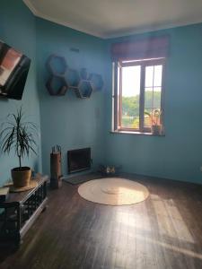 een kamer met een woonkamer met blauwe muren en een tapijt bij Sunrise Apartment in Kamjanets-Podilsky