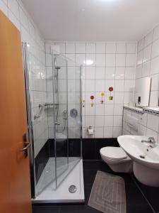 a bathroom with a shower and a toilet and a sink at Ferienwohnung Emma in Konz