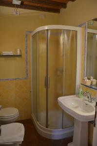 a bathroom with a shower and a toilet and a sink at Agriturismo Al Podere Di Rosa in Sant' Alessio