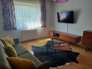 Televízia a/alebo spoločenská miestnosť v ubytovaní Appartementhaus Lisa