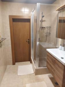 bagno con doccia e porta in vetro di Appartementhaus Lisa ad Afritz
