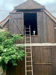 Fotografie z fotogalerie ubytování Chambres d'hôtes Pech Blanc v destinaci Calvignac