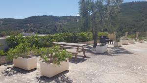 ペスキチにあるResidence Nido Verdeのピクニックテーブル、鉢植えの植物が置かれたパティオ