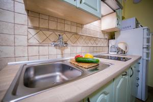 Kuchnia lub aneks kuchenny w obiekcie Apartamenty Barakuda