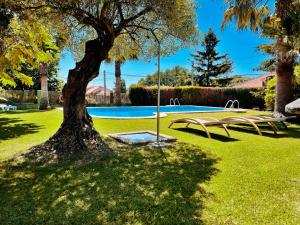 un parque con dos mesas de picnic y un árbol en Hotel Conde Navío, en Sanxenxo