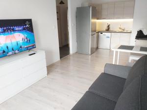 Il comprend un salon doté d'une télévision à écran plat et d'un canapé. dans l'établissement Apartament RUCZAJ, à Lublin