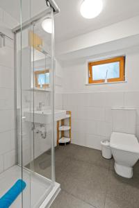 a bathroom with a shower and a toilet and a sink at TTP Apartments Immenstaad in Immenstaad am Bodensee +75 photos