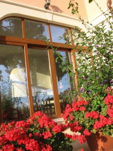 Zahrada ubytování Guest House Caterina