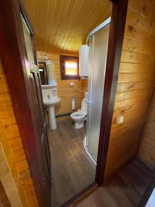 La salle de bains est pourvue de toilettes et d'un lavabo. dans l'établissement Hanul Arcașului, à Voila