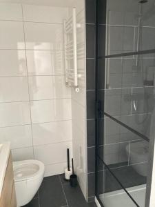 a bathroom with a toilet and a glass shower at Klein geluk in Warmenhuizen +5 photos