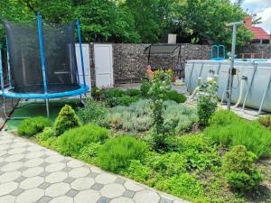 エイスクにあるGuesthouse "CAMELOT"の庭の青いブランコ付き庭園