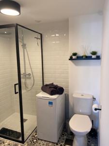 La salle de bains est pourvue de toilettes et d'une douche en verre. dans l'établissement Cottage l'Echappée Belle, à Saint-Amand-les-Eaux