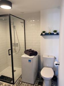 un bagno con wc e doccia in vetro di Cottage l'Echappée Belle a Saint-Amand-les-Eaux