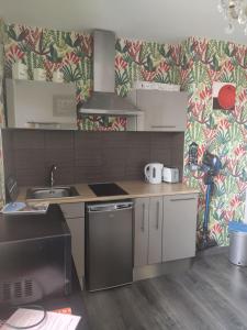 a kitchen with a sink and a stove top oven at Appart'hotel Maison Saint Michel in Paimpol