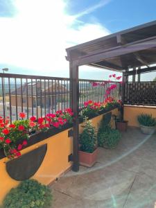 einen Balkon mit Blumen und Pflanzen auf einem Zaun in der Unterkunft B&B Il Panorama in Torre Maggiore