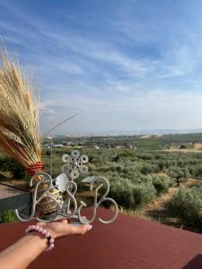 a person holding up a bunch of metal items at B&B Il Panorama in Torremaggiore