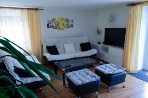 ein Wohnzimmer mit einem weißen Sofa und einem TV in der Unterkunft Apartmány LIZARD in Čeladná