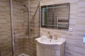 Koupelna v ubytování Apartmány LIZARD + 36 fotografií