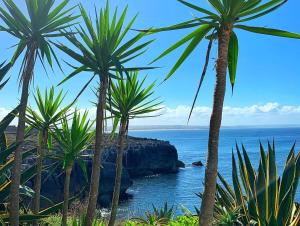 a group of palm trees in front of the ocean at Doce Lar Peniche in Peniche