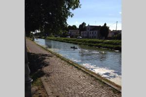 un pato está nadando en un río en Barchessa Ca’ Leon sul naviglio del Brenta en Mira