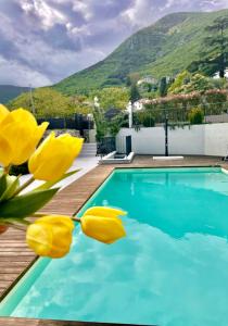 a house with a swimming pool and yellow flowers at CORTE CAIAR Bed&Breakfast in Caprino Veronese