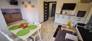 Kuchyňa alebo kuchynka v ubytovaní Apartament przy Źródełku