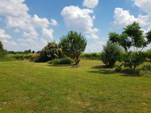 a bench sitting in the grass in a field at Chambre avec salle de bains privative in Boutiers-Saint-Trojan