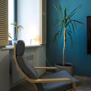 une chaise dans une pièce avec une plante en pot dans l'établissement апарт-готель у Кірхи, à Odessa