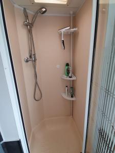a shower with a shower head in a bathroom at Herzfennerhof Mobilheim in Auw