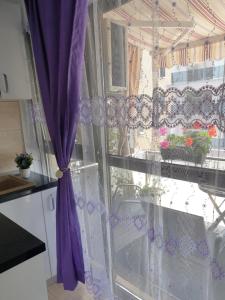 Ảnh trong thư viện ảnh của Apartament Razvan ở Saturn