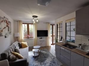 Telewizja i/lub zestaw kina domowego w obiekcie Apartament nad Łomnicą