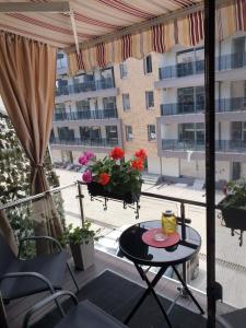 Ảnh trong thư viện ảnh của Apartament Razvan ở Saturn