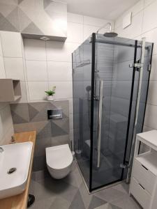 a bathroom with a shower and a toilet and a sink at Apartament nad Łomnicą in Karpacz