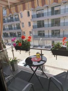 Ảnh trong thư viện ảnh của Apartament Razvan ở Saturn