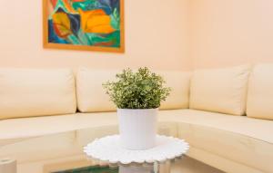 Część wypoczynkowa w obiekcie Apartmani Andreas