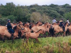 a group of people riding horses in a field at La Longère à la Mer 6 pers 3 chambres grand jardin clôt a Fort-Mahon-Plage in Fort-Mahon-Plage