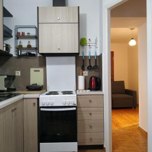 Virtuvė arba virtuvėlė apgyvendinimo įstaigoje Sandra Apartment