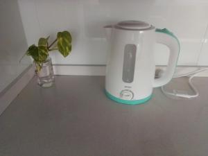 a tea kettle and a vase with a plant on a counter at Depto Plaza Moreno in La Plata