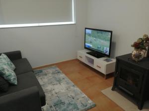 a living room with a couch and a flat screen tv at Casa de Ribes T1 Linda Vista in Geres