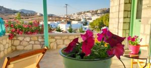 Γενική θέα στο βουνό ή θέα στο βουνό από  αυτό το διαμέρισμα