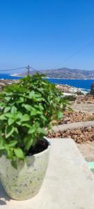 Φυσικό τοπίο κοντά σε αυτό το διαμέρισμα