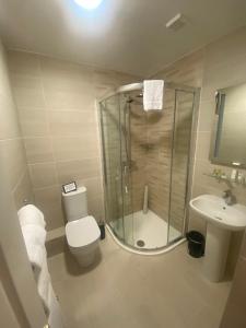 a bathroom with a shower and a toilet and a sink at Long Quay House in Kinsale