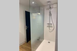 Un baño con ducha con puerta de cristal. en Le Cheval Bixio, en Beaune