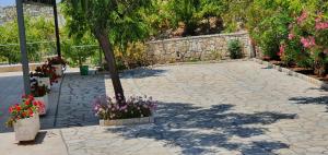 Jardí fora de Sivota Apartments