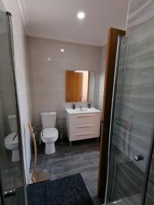 ein Bad mit einem WC, einem Waschbecken und einer Dusche in der Unterkunft Alojamentos Martinho in Quintas