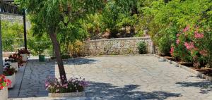 Jardí fora de Sivota Apartments