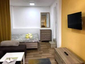 a living room with a couch and a flat screen tv at Apartment - Nane 2 - Krushevo in Kruševo