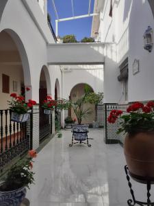 a courtyard with a bench in a building with flowers at Hostal San Juan in Salobreña +21 photos