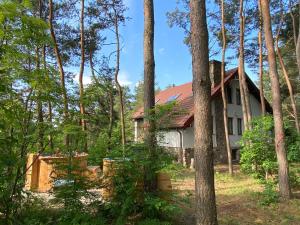 Goławice的住宿－Villa & Jacuzzi nad rzeka Wkra，树林中间的房子